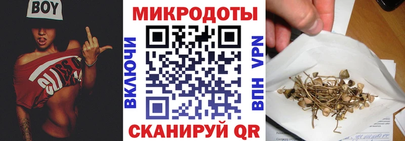 Псилоцибиновые грибы GOLDEN TEACHER  Купить где  Вичуга 